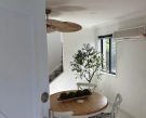 Best Fake Plants Australia: Elevate Your Living Space with Artificial Greenery